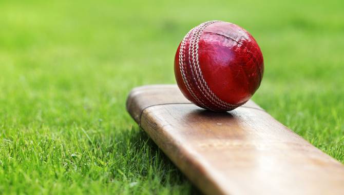 cricket ball resting on top of a cricket bat that is lying on some grass